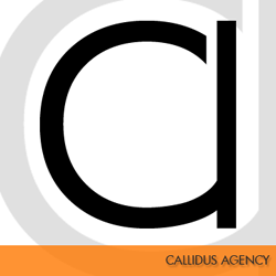 More about callidus250
